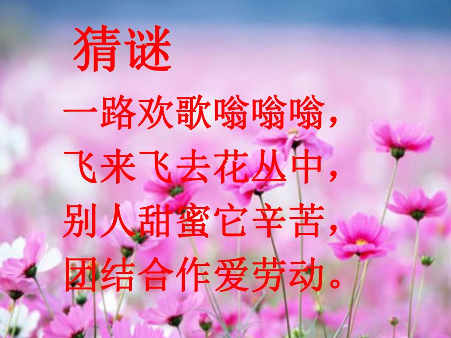 中班美术活动《小蜜蜂》PPT课件教案PPT课件.ppt_第2页