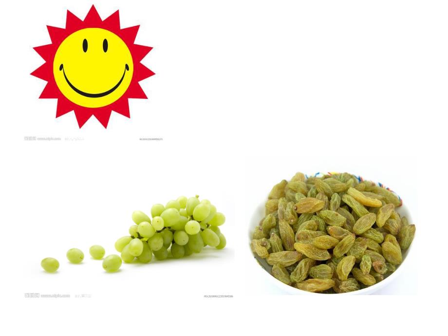 中班科学活动《水果和水果干》PPT课件教案PPT课件.ppt_第3页