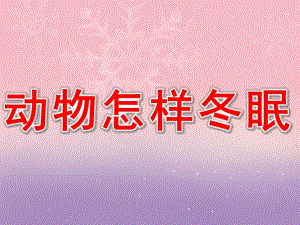 幼儿园《动物怎样冬眠》PPT课件教案PPT课件.pptx
