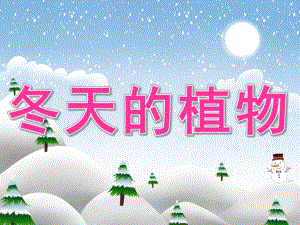 中班科学《冬天的植物》PPT课件教案PPT课件.ppt