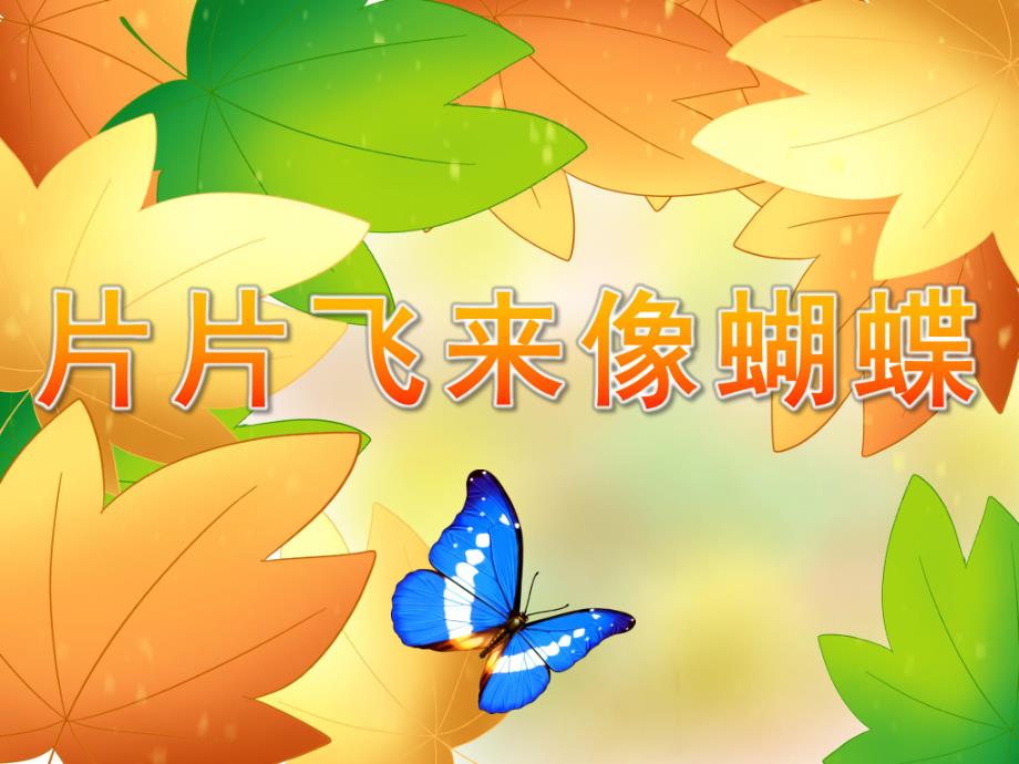 小班语言《片片飞来像蝴蝶》PPT课件教案PPT课件.pptx_第1页