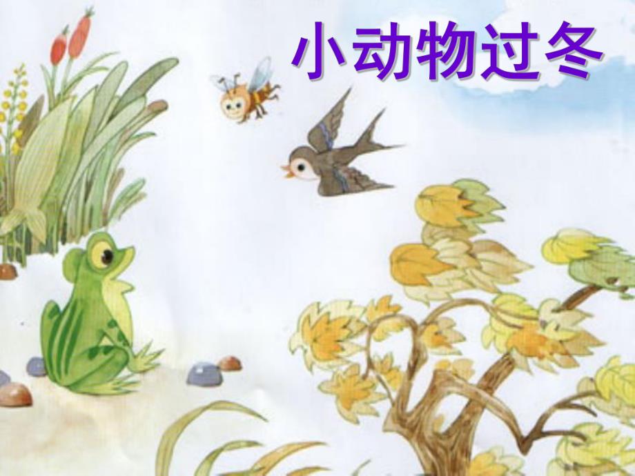 中班科学《小动物过冬》PPT课件教案PPT课件.ppt_第3页