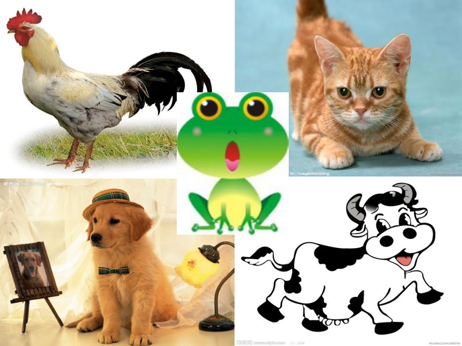 中班社会活动《动物好朋友》PPT课件教案PPT课件.ppt_第3页