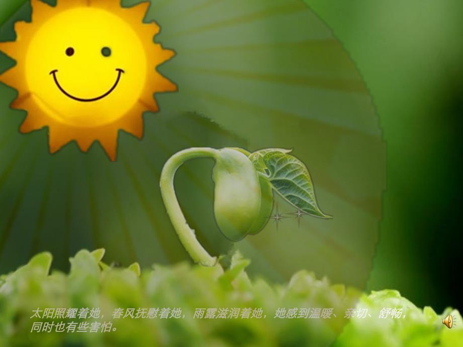 中班语言散文《芽》PPT课件配音音乐ppt课件.ppt_第3页