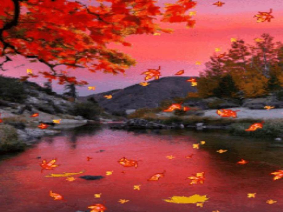 中班数学《树叶找妈妈》PPT课件教案拾落叶.ppt_第3页