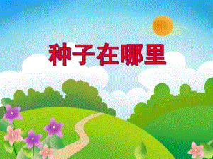 中班科学活动《种子在哪里》PPT课件教案PPT课件.ppt
