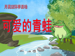中班科学《可爱的青蛙》PPT课件可爱的青蛙..ppt