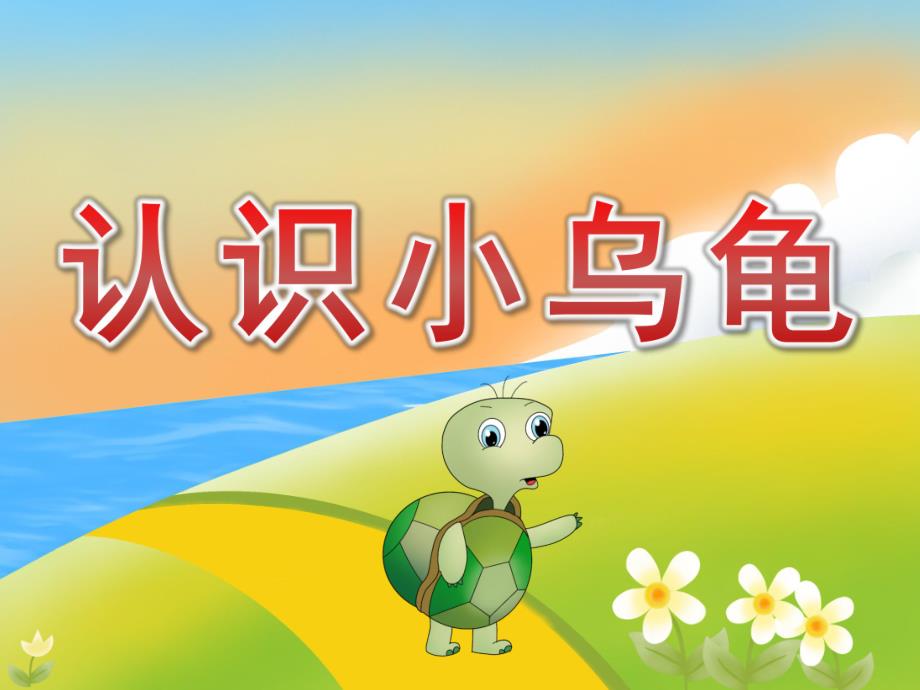 小班科学《认识小乌龟》PPT课件教案歌曲PPT课件.pptx_第1页
