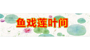 大班美术《鱼戏莲叶间》PPT课件教案大班美术《鱼戏莲叶间》课件.ppt
