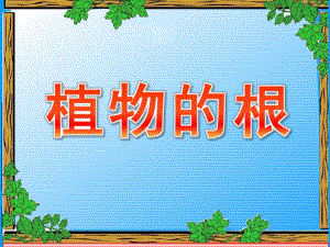 大班科学常识《植物的根》PPT课件教案科学启蒙---植物的根.ppt