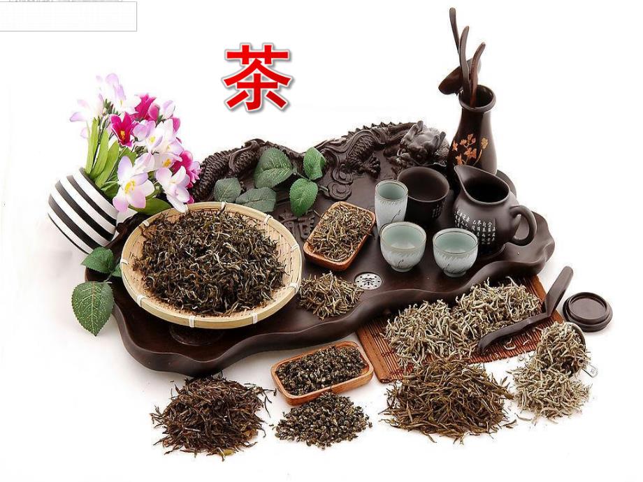 大班科学活动《茶》PPT课件教案PPT课件.ppt_第1页