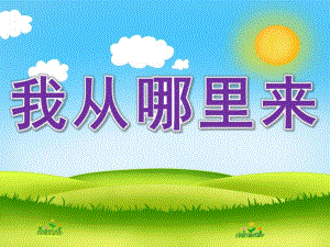 大班主题《我从哪里来》PPT课件教案PPT课件.ppt
