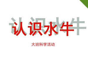 大班科学《认识水牛》PPT课件大班科学《认识水牛》.ppt