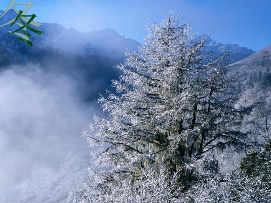 幼儿园《冬》PPT课件冬.ppt_第2页