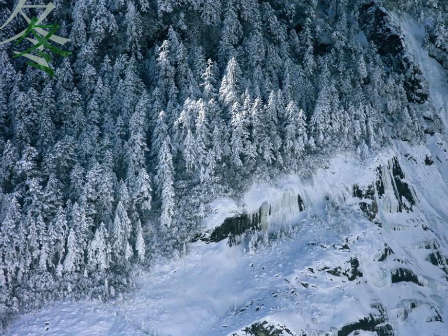 幼儿园《冬》PPT课件冬.ppt_第3页