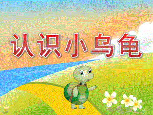 小班科学《认识小乌龟》PPT课件教案歌曲PPT课件.ppt
