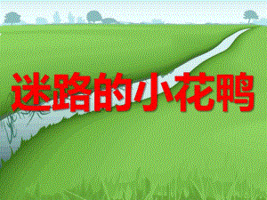 幼儿园《迷路的小花鸭》PPT课件教案ppt教学课件.ppt