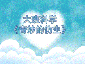 大班科学《奇妙的仿生》PPT课件教案大班科学活动《奇妙的仿生》.ppt