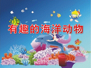 大班科学《有趣的海洋动物》PPT课件教案N08-大班科学《有趣的海洋动物》+课件.ppt