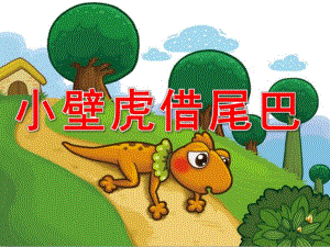 大班语言故事《小壁虎借尾巴》PPT课件教案配音音乐PPT课件.ppt