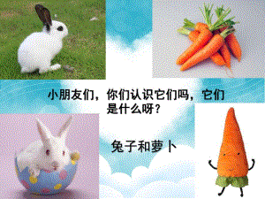 幼儿园小班下学期《大萝卜》PPT课件《大萝卜》(幼儿园小班下学期PPT课件.ppt