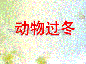 大班《动物过冬》PPT课件大班动物过冬.ppt