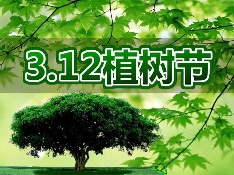 幼儿园植树节PPT课件幼儿园植树节.ppt_第1页