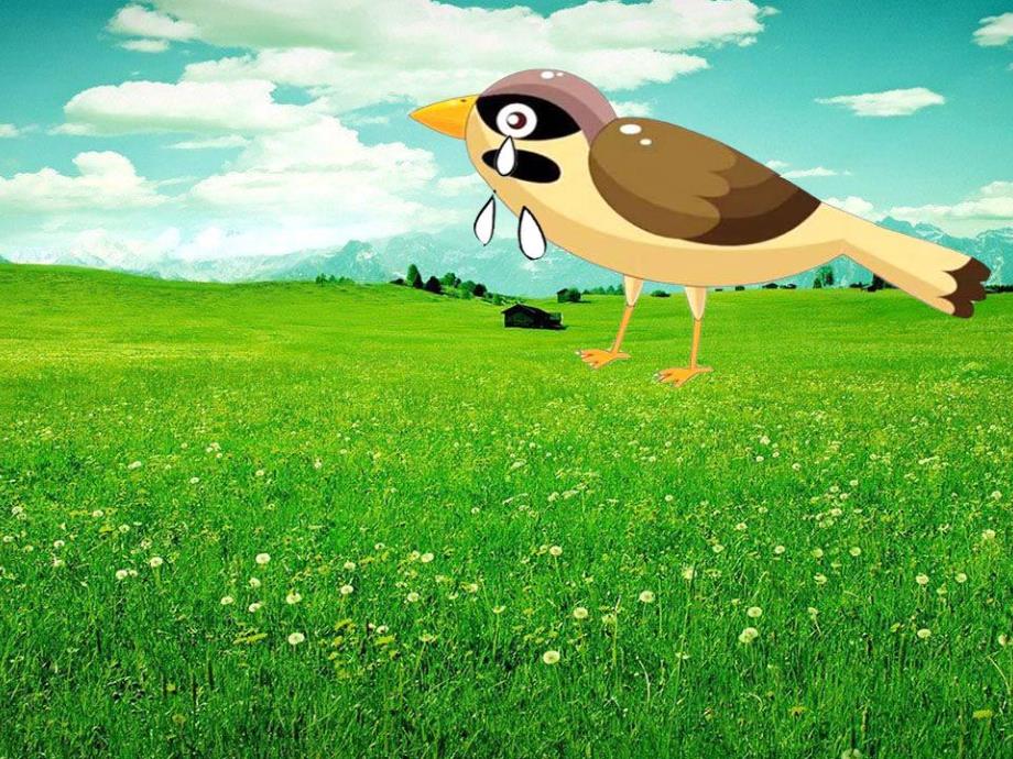 大班语言《去的树》PPT课件大班语言-去的树.ppt_第3页