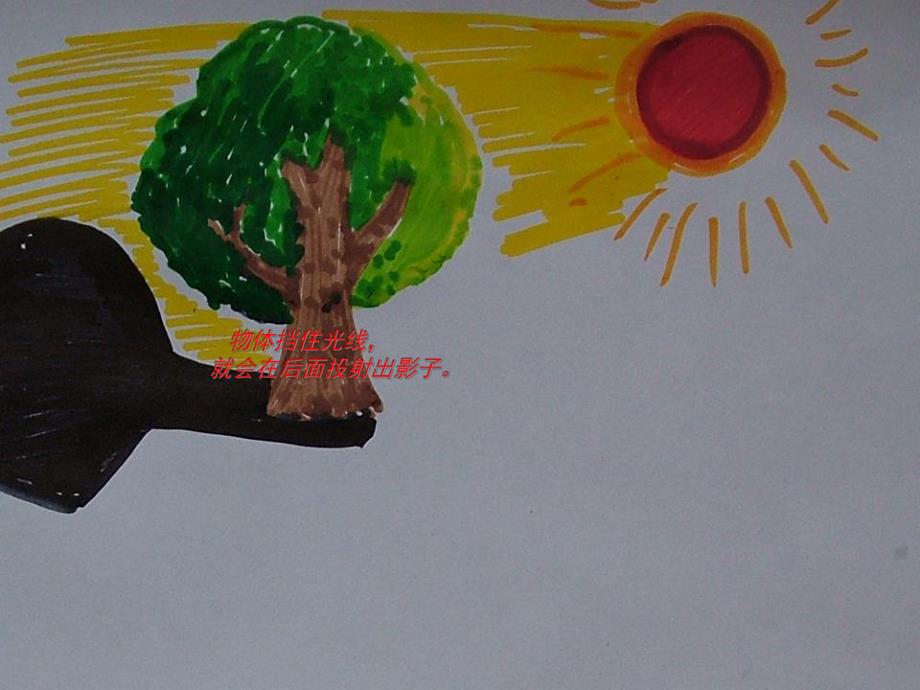 幼儿园《有趣的影子》PPT课件教案PPT课件.ppt_第3页