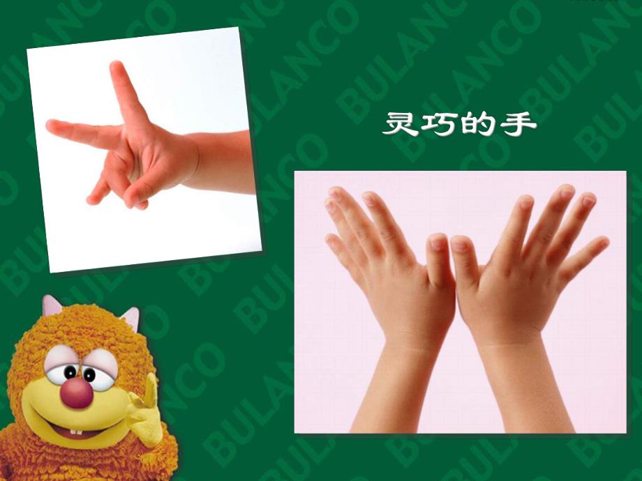 幼儿园美术活动《手型变变变》PPT课件幼儿园美术活动《手型变变变》PPT课件.ppt_第3页