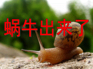 小班手工泥工《蜗牛出来了》PPT课件小班泥工：蜗牛出来了PPT.ppt