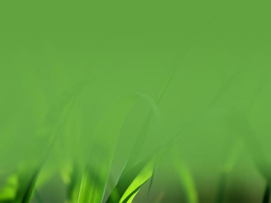 小班科学绘本游戏《动物学堂》PPT课件教案打印图片小班科学绘本游戏《动物学堂》课件.ppt_第2页