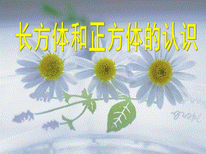 大班数学《长方体和正方体的认识》PPT课件大班数学《长方体和正方体的认识》PPT课件.ppt