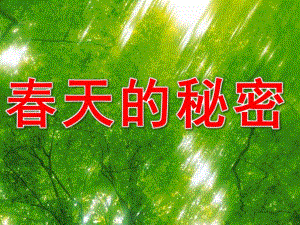 中班诗歌《春天的秘密》PPT课件教案PPT课件.ppt