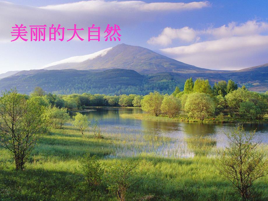 幼儿园《认识四季》PPT课件教案认识四季.ppt_第2页