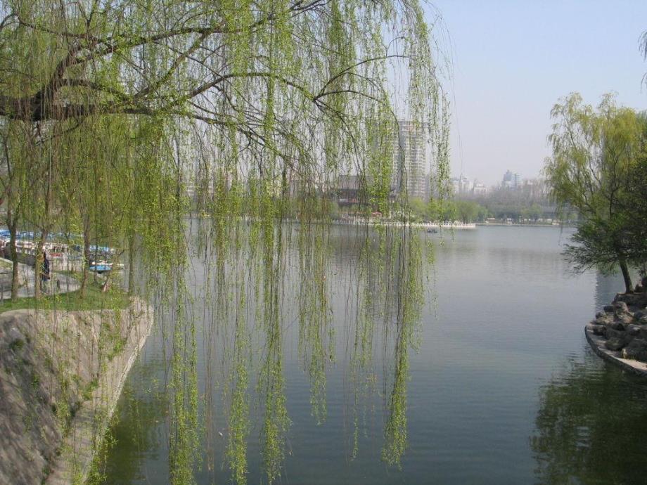 幼儿园《认识四季》PPT课件教案认识四季.ppt_第3页