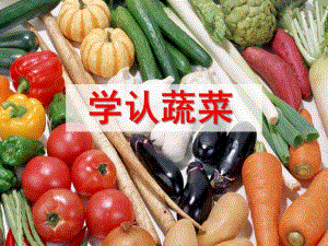 小班科学《学认蔬菜》PPT课件小班科学《学认蔬菜》PPT课件.ppt