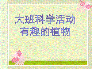 大班科学公开课《有趣的植物》PPT课件教案大班科学-有趣的植物.ppt