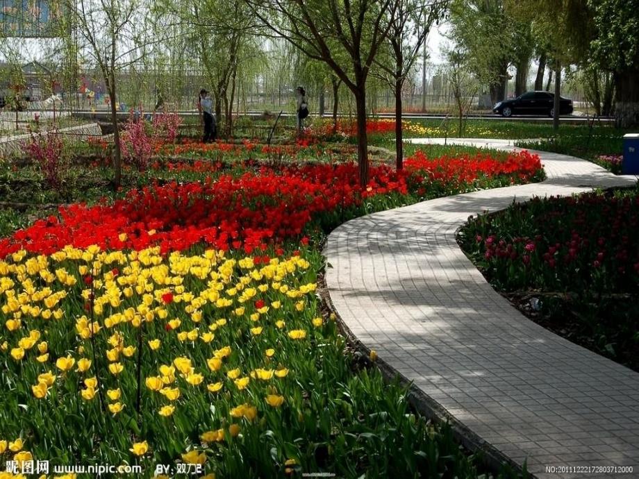 大班美术《(手指印画)美丽的花》PPT课件大班美术《(手指印画)美丽的花》PPT课件.ppt_第3页