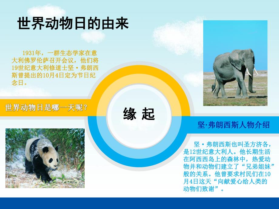 大班社会《世界动物日》PPT课件世界动物日.ppt_第3页