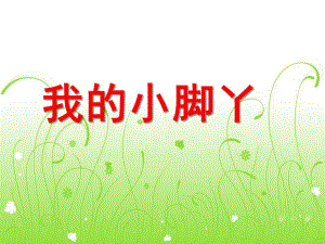 小班社会活动《我的小脚丫》PPT课件教案.ppt