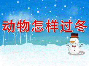 幼儿园科学《动物怎样过冬》PPT课件教案PPT课件.ppt