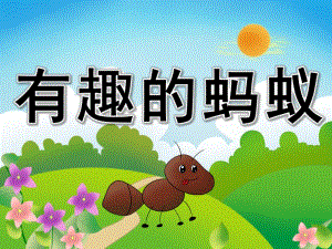 中班科学《有趣的蚂蚁》PPT课件教案PPT课件.ppt