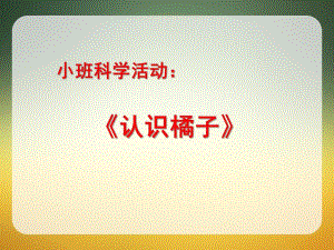 小班科学《剥桔子》PPT课件教案小班科学剥桔子.ppt
