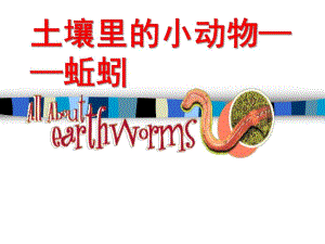幼儿园科学《土壤里的小动物蚯蚓》PPT课件ppt课件.ppt