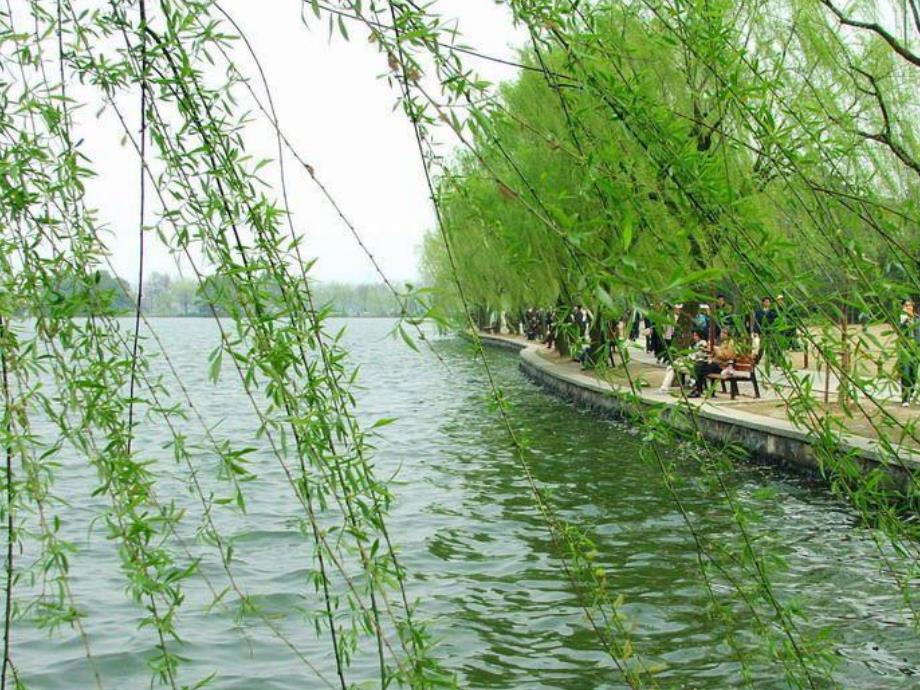 大班音乐《柳树姑娘》PPT课件教案幼儿园大班音乐柳树姑娘课件.ppt_第2页