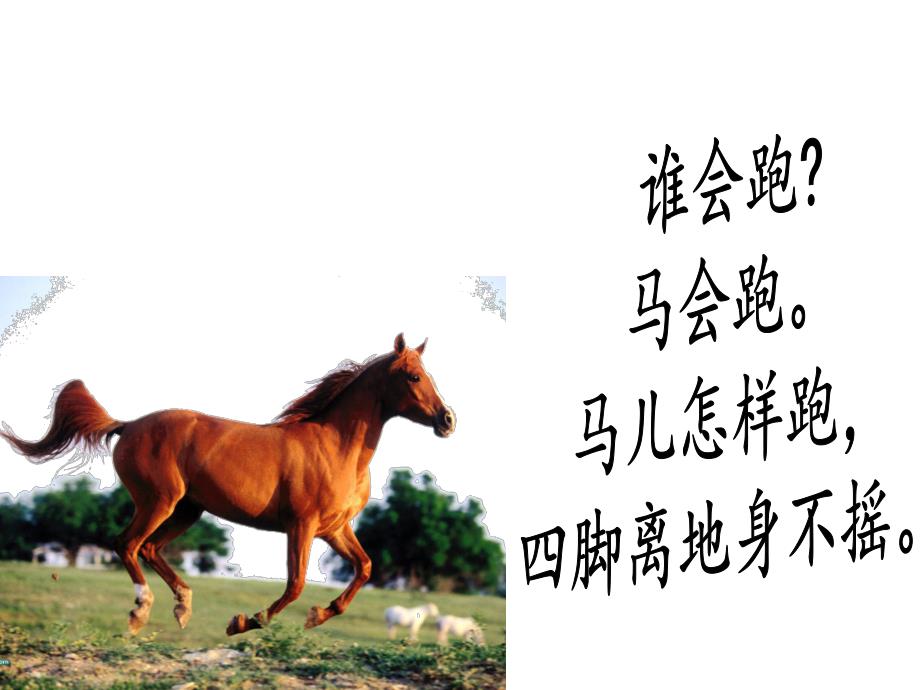 小班蒙氏阅读《谁会跑》PPT课件谁会跑.ppt_第3页