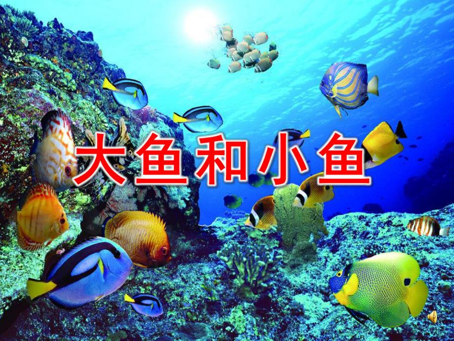小班音乐《大鱼和小鱼》PPT课件教案音乐小班音乐 《大鱼和小鱼》.ppt_第1页