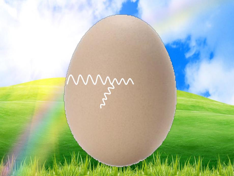 小班音乐活动《小鸡出壳》PPT课件教案音频小班音乐《小鸡出壳》.ppt_第3页