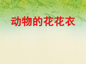 小班美术《动物的花花衣》PPT课件教案动物的花花衣(精.ppt